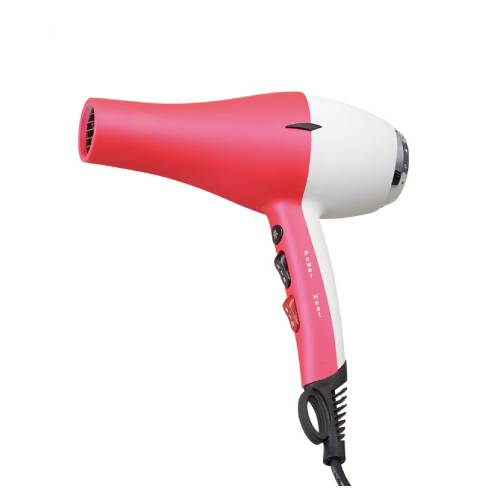 Electric Hair Dryer